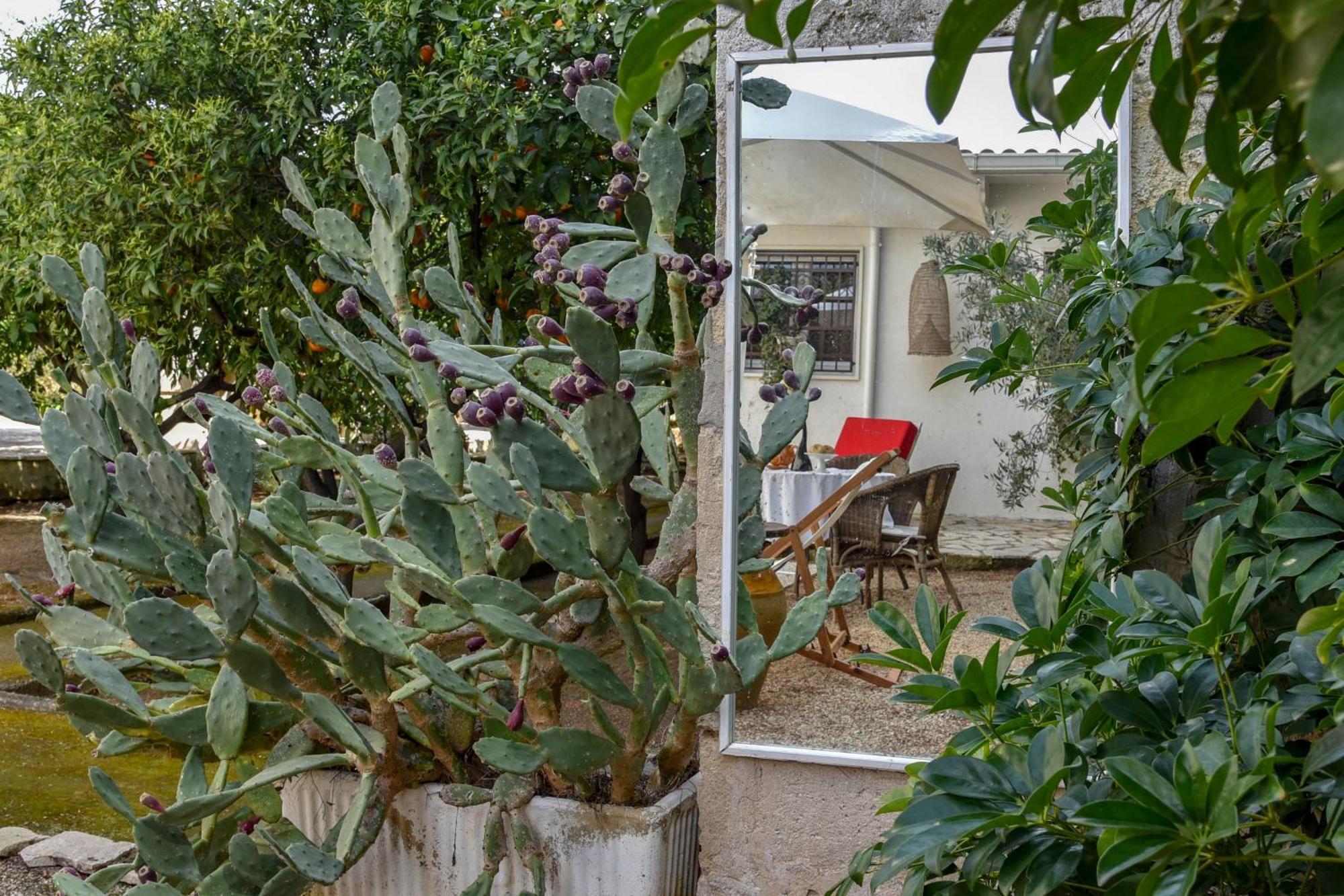 פולסנו Antica Casina B&B Di Charme מראה חיצוני תמונה
